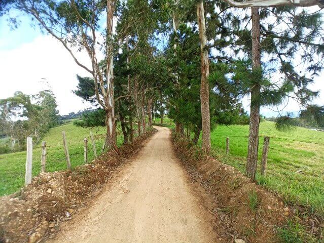 carretera cultivos de cafe hacienda el roble en la mesa de los santos